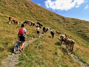 Laghi e Monte Ponteranica-Monte Avaro dai Piani-13ag22- FOTOGALLERY